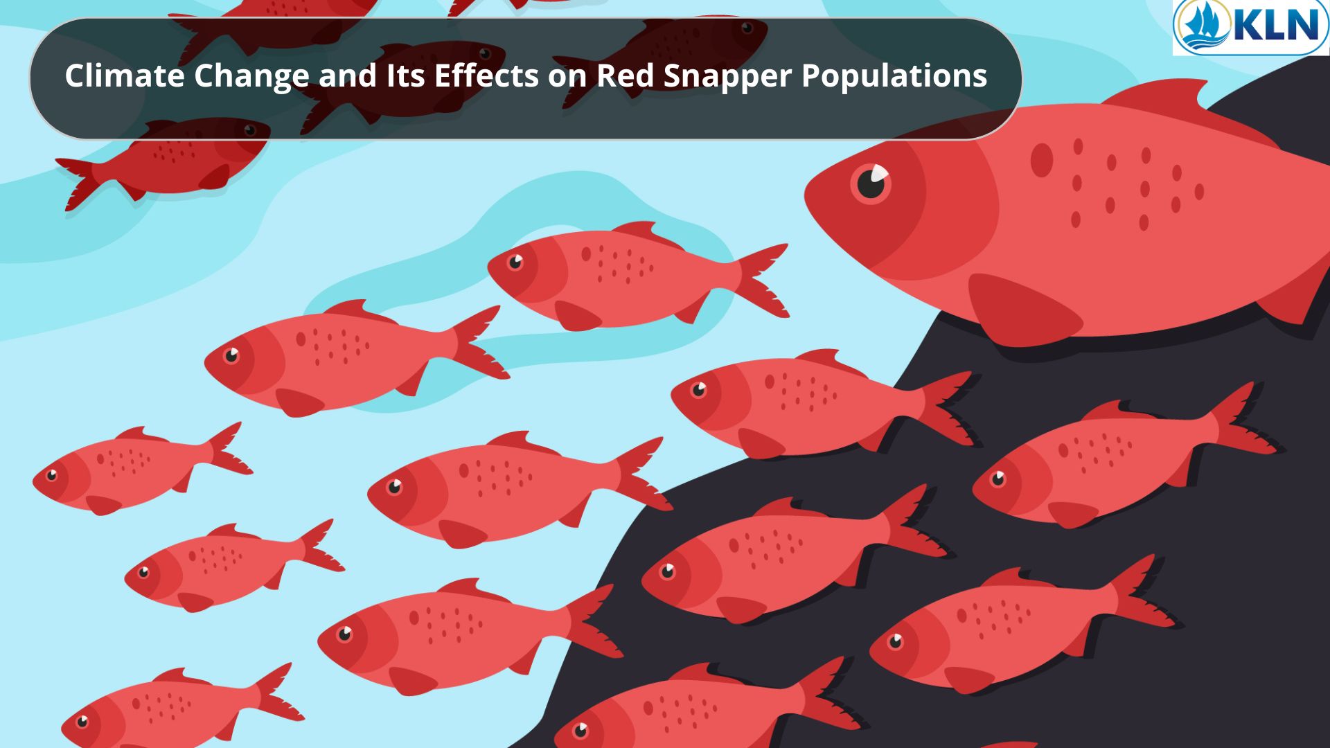 Climate Change and Its Effects on Red Snapper Populations